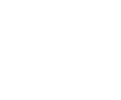 11 e 12 de novembro