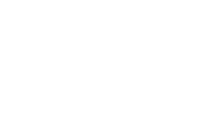 S&atilde;o Carlos
